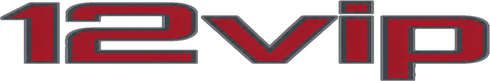 12vip লোগো